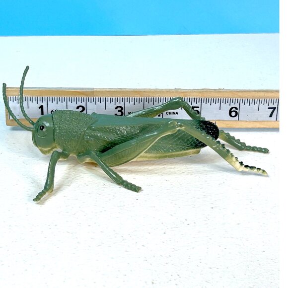 Beautifully Detailed Realistic American Grasshopper Insect Bug PVC Toy Figure‎ - Picture 5 of 6